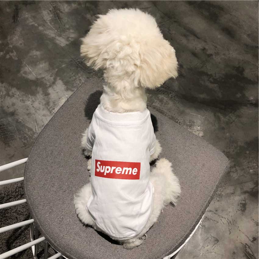 supreme 洋服 ストレート系