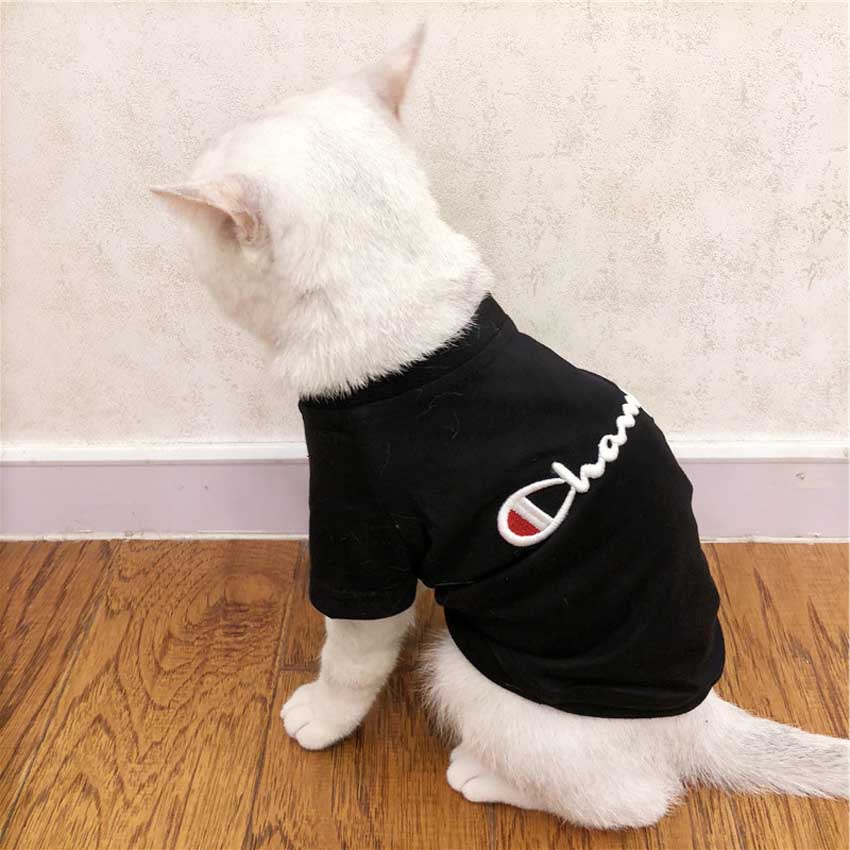 猫Tシャツ チャンピオ