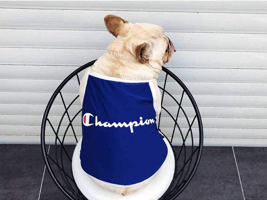 champion ペットウェア