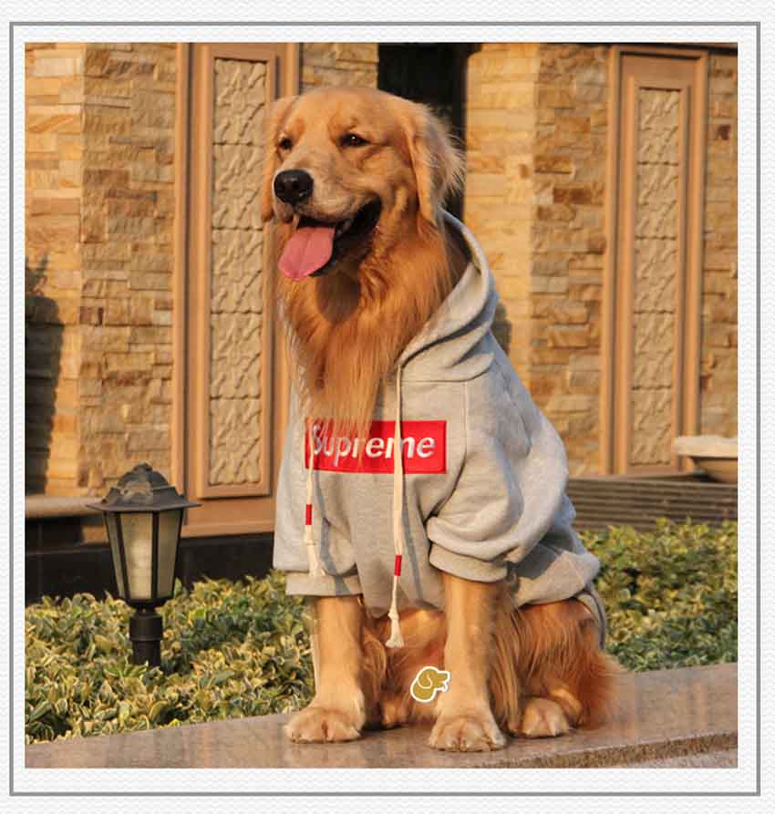 SUPREME 犬パーカー かわいい