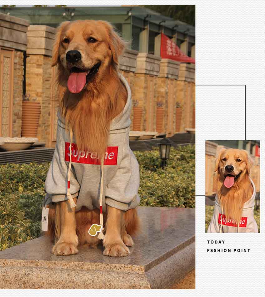 シュプリーム パーカー 大型犬服