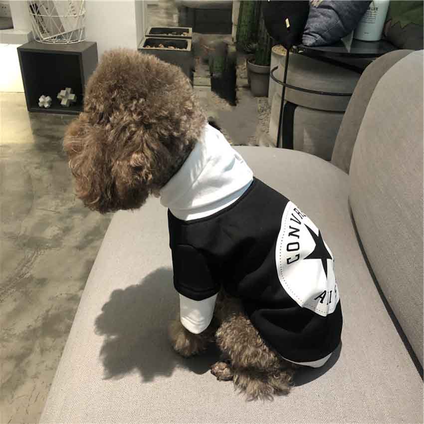 converse ブランド洋服 小型犬