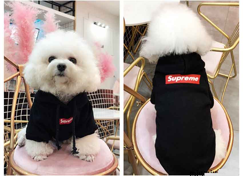 SUPREME 犬服 パーカー