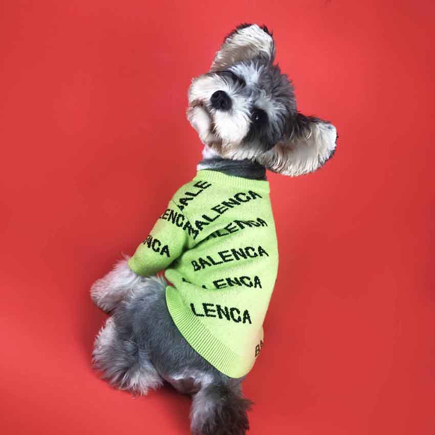 BALENCIAGA ニットセーター 暖かい ペット服 おしゃれ バレンシアガ 犬