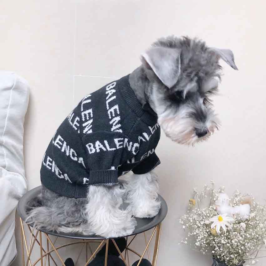 BALENCIAGA ニットセーター 暖かい ペット服 おしゃれ バレンシアガ 犬