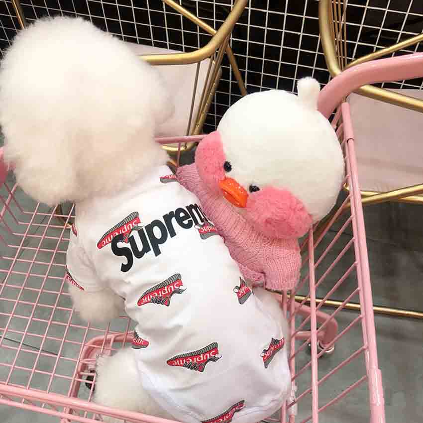 犬T-シャツ 春夏新品 Supreme