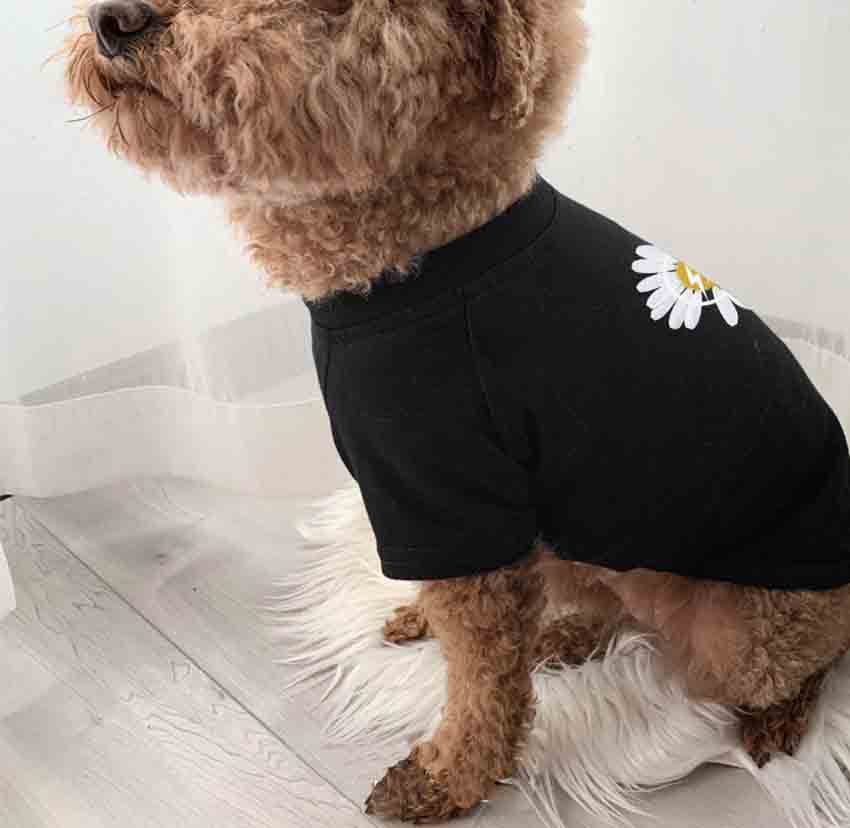 犬洋服 オシャレ 激安