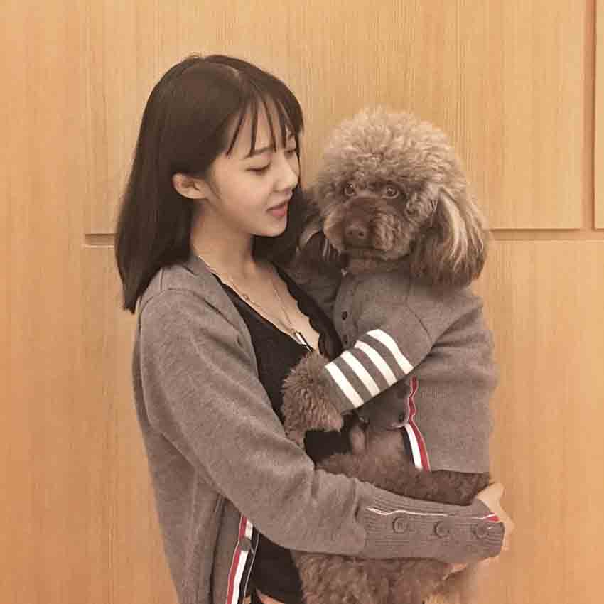 トムブラウン 犬と親子服