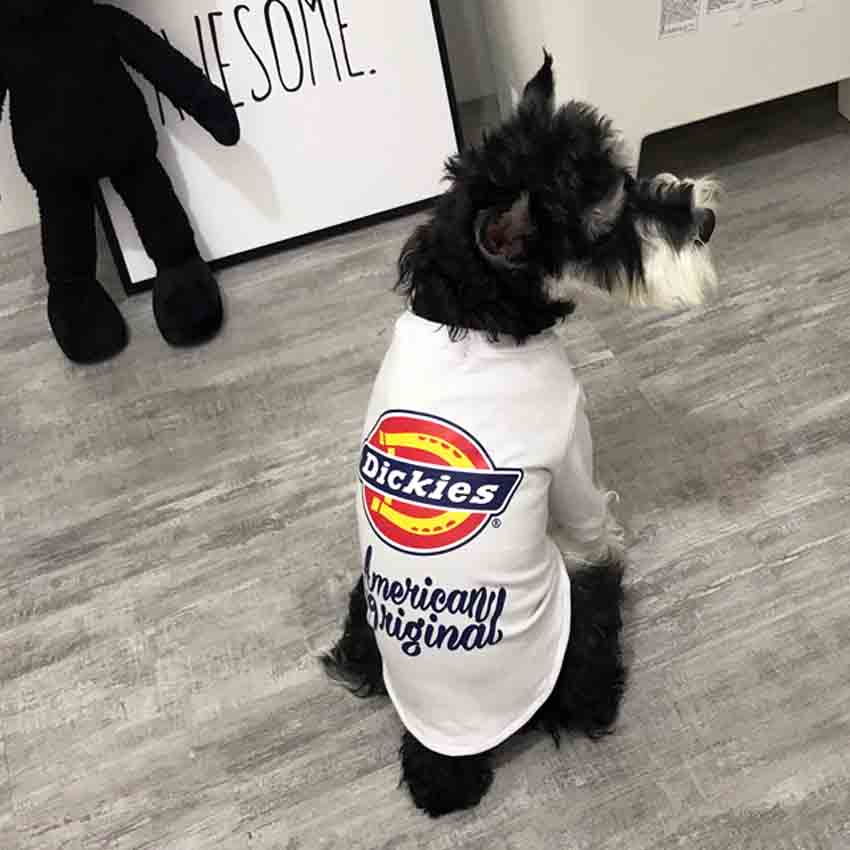 犬tシャツ 小型犬 dickies