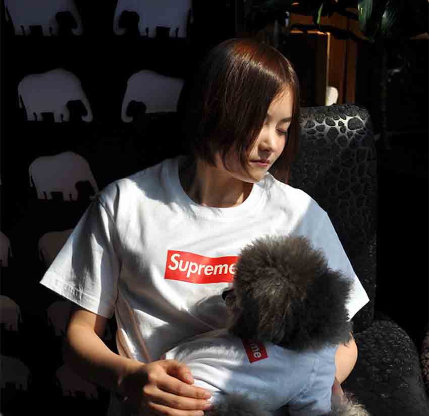 ドッグウェア SUPREME BOXログ