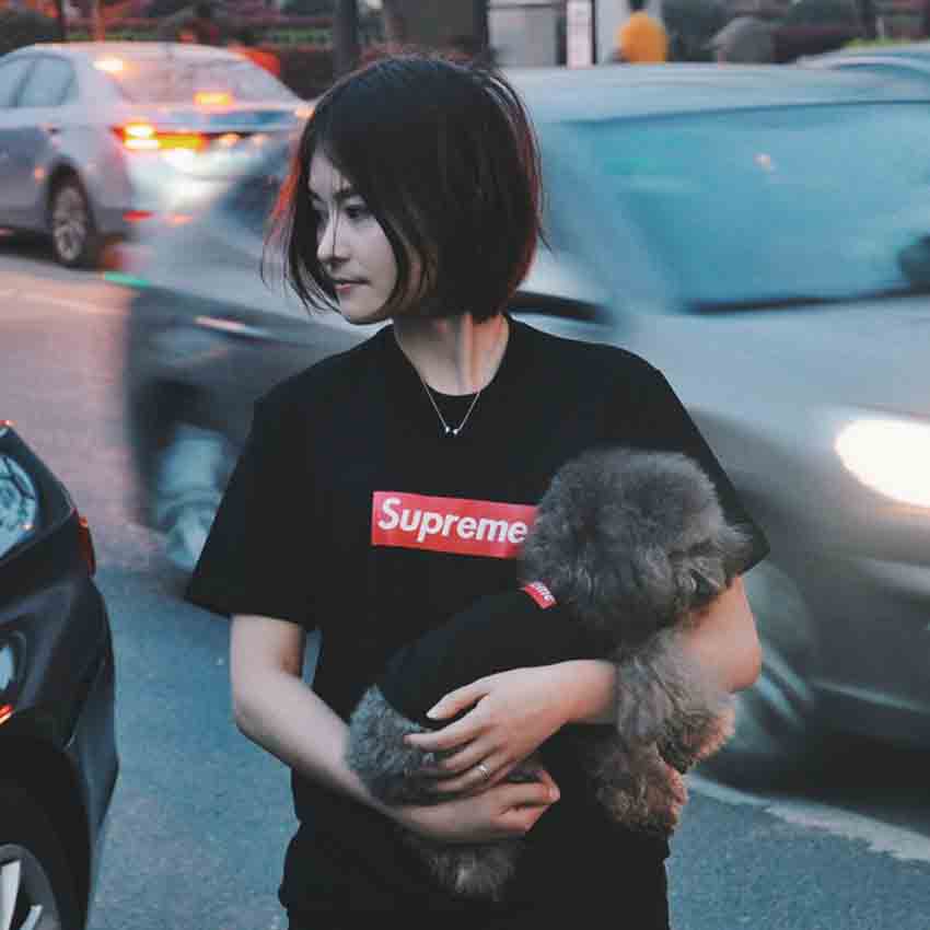 SUPREME BOXログ 犬服 tシャツ