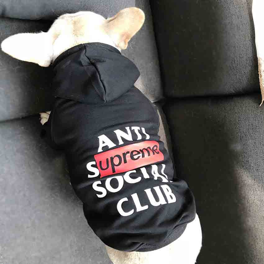 supreme 犬パーカー 大人