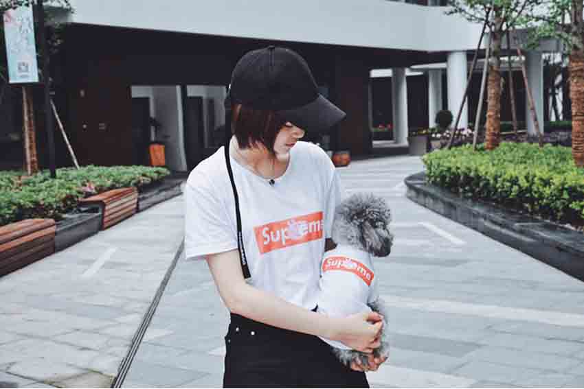 犬と親子服 tシャツ supreme