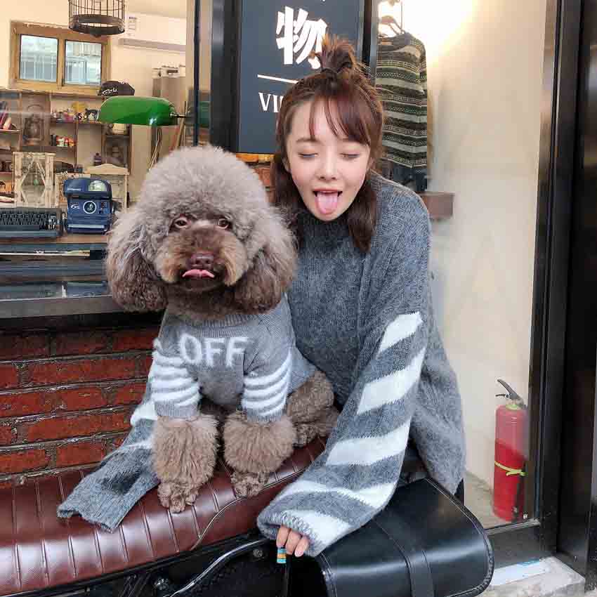 オフホワイト 犬と親子服 セーター