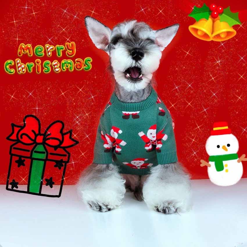 可愛い ペットの服 犬ニットセーター クリスマス 雰囲気 犬 服 冬