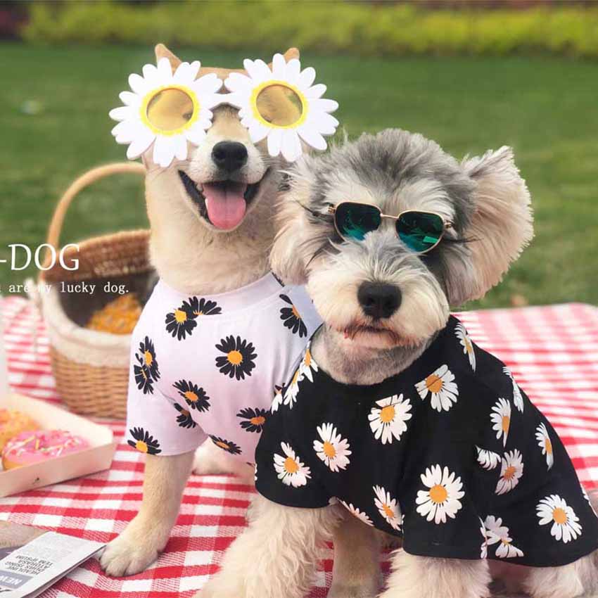 ピースマイナスワン 犬の服 かわいい