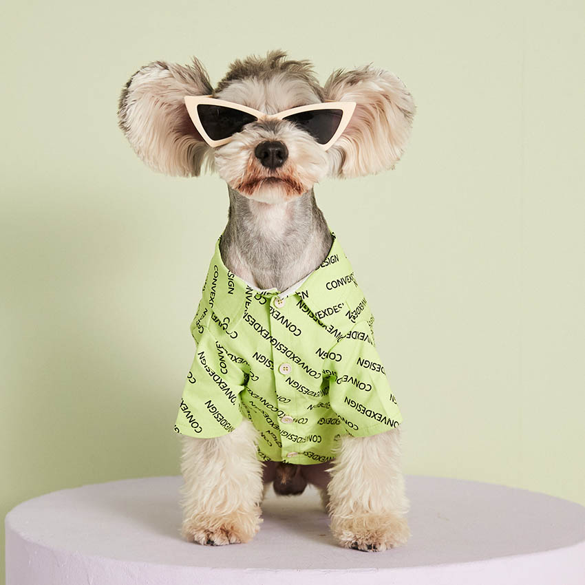 バレンシアガ 犬 服 シャツ かっこいい Balenciaga ペットの服 ドッグ