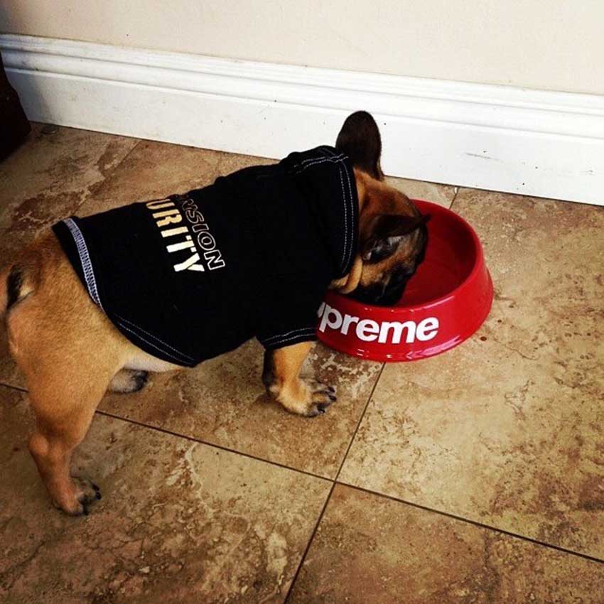 supreme 犬用フードボウル