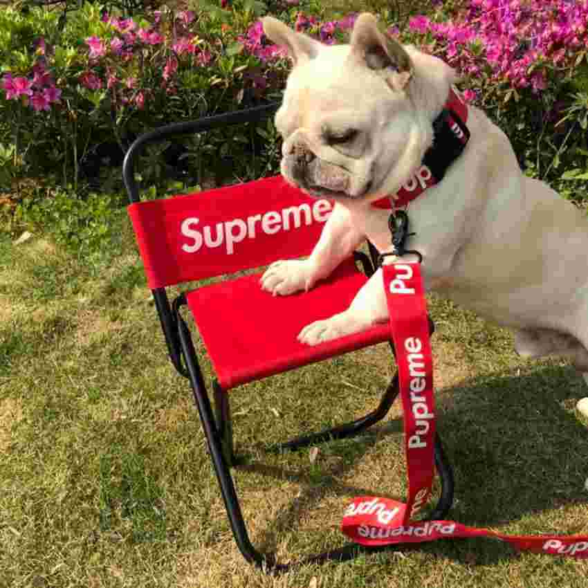 Supreme ペット用リード 胴輪 大型犬適用