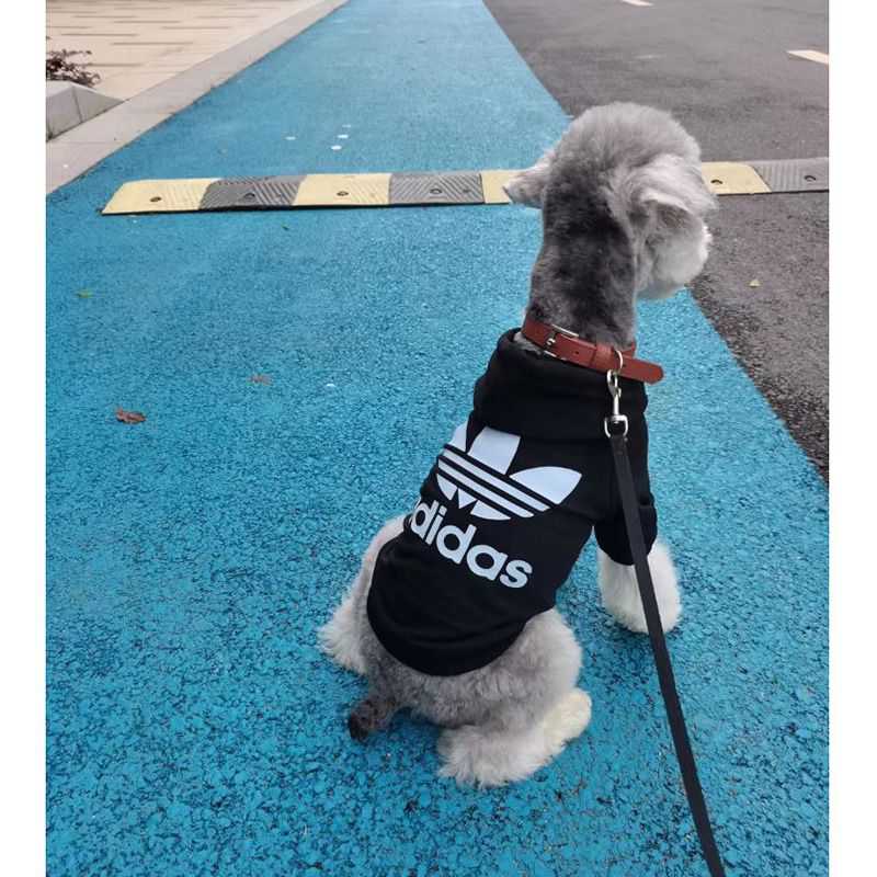 ワンちゃんの服 adidas 人気