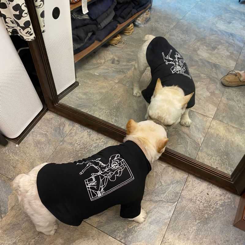 犬のtシャツ ジバンシィ