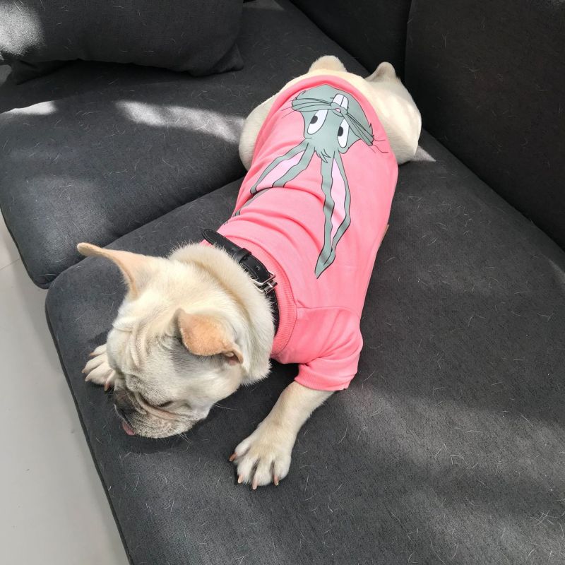 犬のtシャツ 厚手 兎