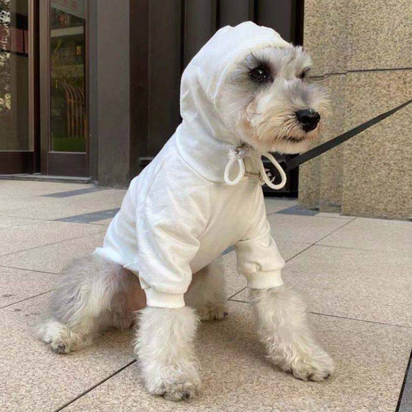 サンローラン 犬服 おしゃれ