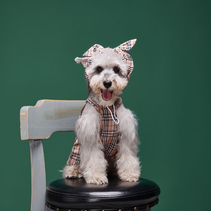 バーバリー風 犬スカート ヘアバンド セット