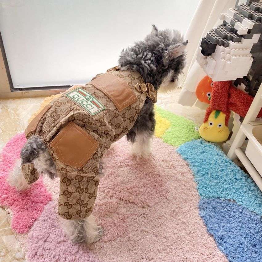 グッチ 犬洋服