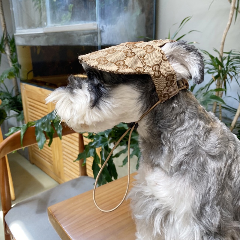 ルイヴィトン グッチ 犬 帽子