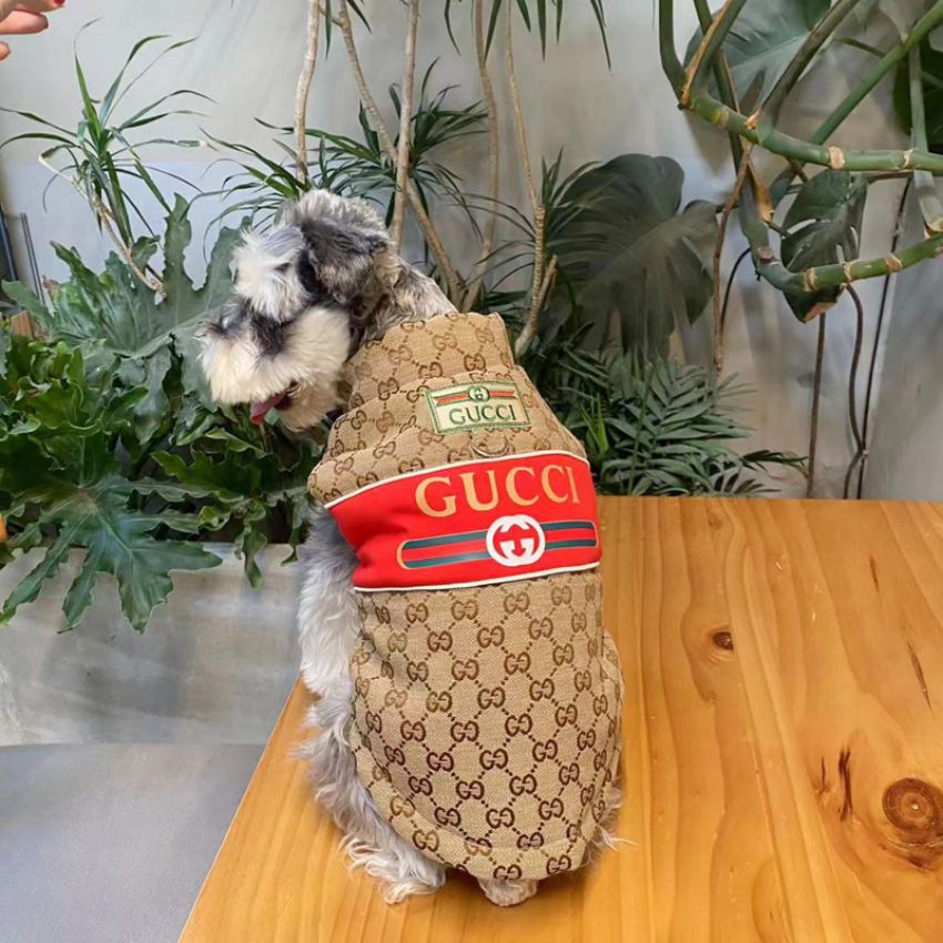 gucci 小型犬の服 牽引ロープ付き