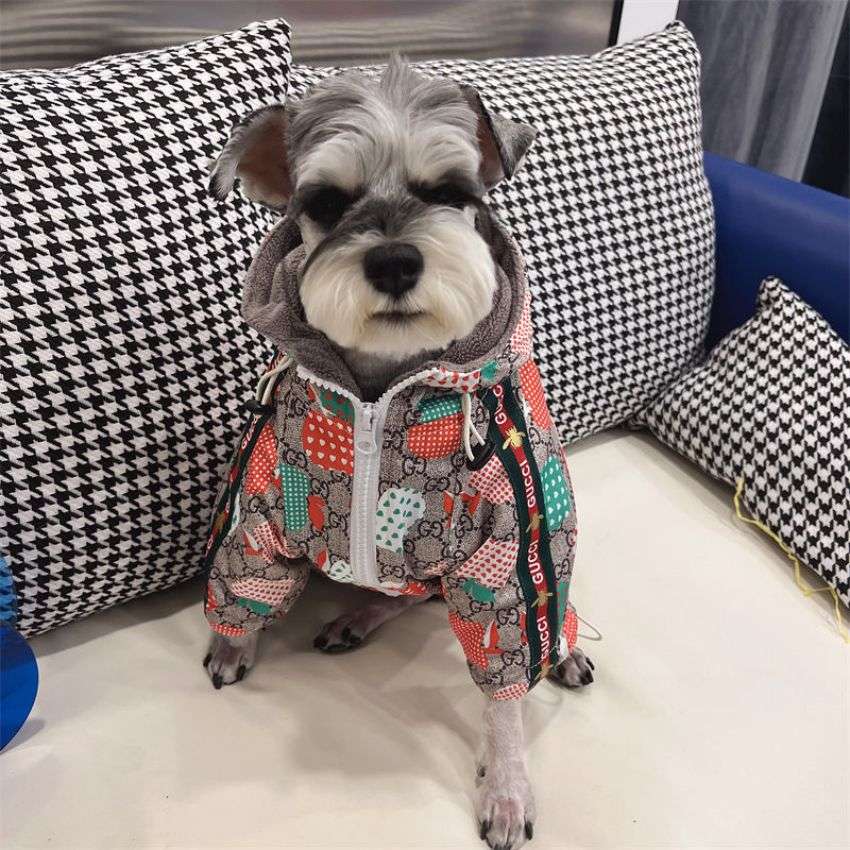 ダウンコート gucci 犬