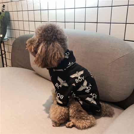 BOY 犬の服 パーカー