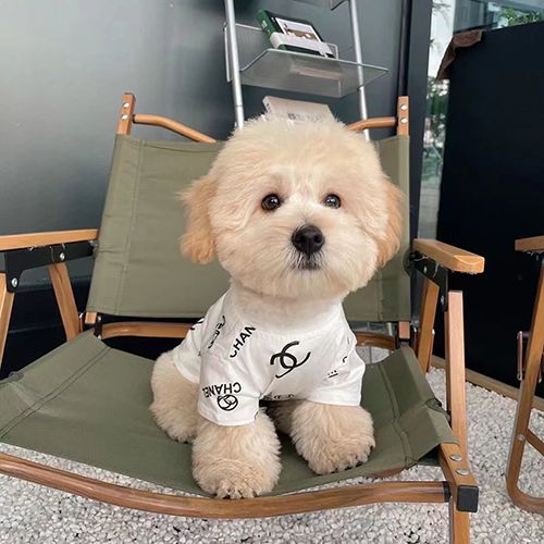 シャネル 犬服 可愛い chanel 犬のｔシャツ パーカー 黒 白 シャネル