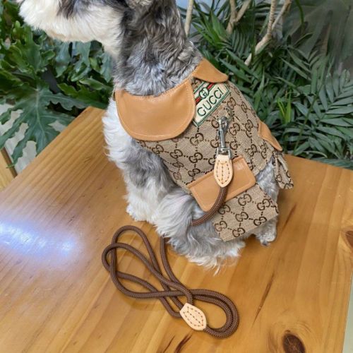 犬の服 リード付き グッチ